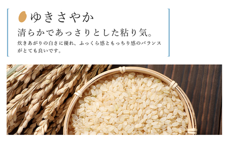 【定期便 12ヶ月】特別栽培米産地直送 玄米 ゆきさやか 10kg×12回 《帰山農園》
