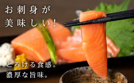 【ふるなび限定】トラウトサーモン 500g 小分け 刺身 サーモン 鮭 海鮮 魚 さけ ＜三洋食品＞