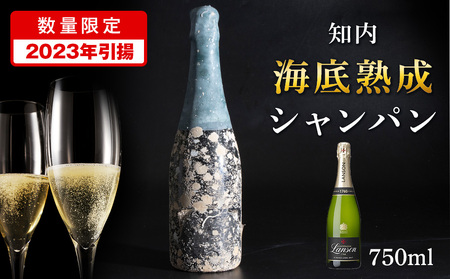 【2023年引き揚げ】知内海底熟成シャンパン E