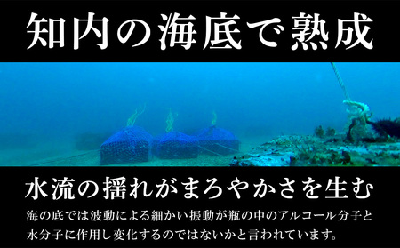 【ふるなび限定・2023年引き揚げ】知内海底熟成ウイスキー2本 Cセット 北海道 ウイスキー 海底ウイスキー 海底熟成 洋酒 海底酒