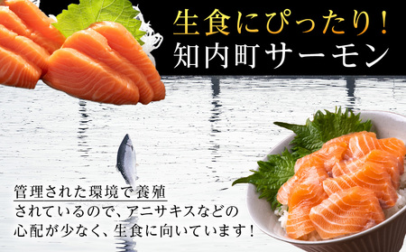 【2025年7月末以降出荷】知内サーモンハーフロイン 2kg <上磯郡漁業協同組合> 発送予約