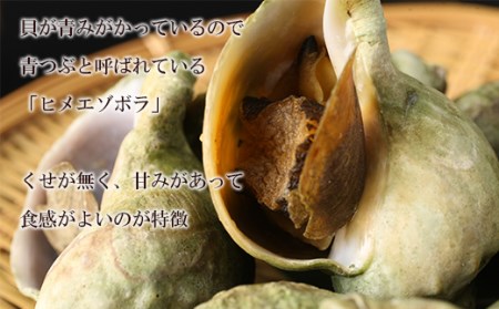 ボイルつぶ 4パックセット<上磯郡漁業協同組合>