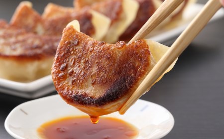 北海道の食材たっぷり!手作り餃子10袋セット<スリーエス>