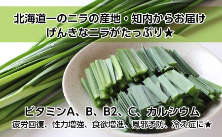 北海道の食材たっぷり!手作り餃子10袋セット<スリーエス>
