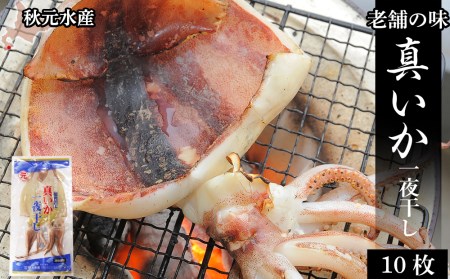 老舗の味 真いかの一夜干し 10枚セット <秋元水産> 知内町 ふるさと納税 【HH012】