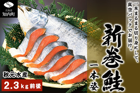 12月から順次発送!新巻鮭 一本姿(2.3kg前後)<秋元水産>魚貝類・サーモン・鮭・さけ・サケ・シーフード【HH014】