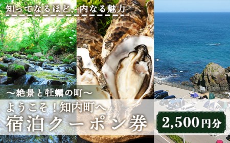 ～絶景と牡蠣の町～ ようこそ！知内町へ☆宿泊クーポン2,500円分 【AA002】