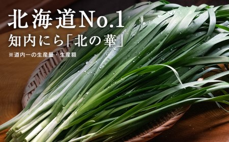 【2025年発送予約】 知内産 一番ニラ「北の華」20束【JA新はこだて】