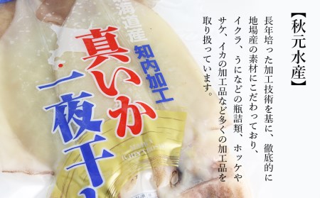 イカ 一夜干し 老舗の味 真いかの一夜干し ２枚入５パックセット＜秋元水産＞