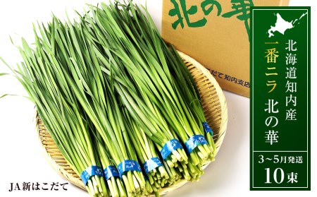 【2025年発送予約】 知内産 一番ニラ「北の華」10束【JA新はこだて】 ニラ 野菜 にら 北海道産 北の華