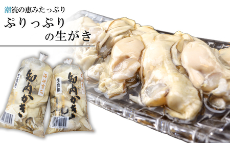 ふるさと納税 北海道 知内町 生かき むき身 350g×3本 ＜上磯郡漁業協同