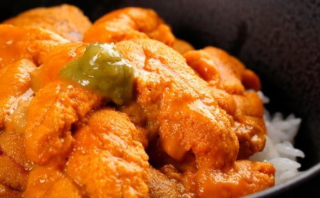 うに ☆知内町加工☆塩水エゾバフンウニ１００g×2パック【マルタカ高橋商店】