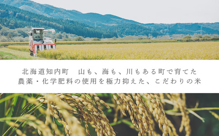 ゆめぴりか 米 一合 150g× 2袋 国産 北海道 北海道米 知内 帰山農園
