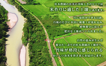 【新米発送】ゆめぴりか 10kg 《杉本農園》 国産 北海道米 北海道産 ゆめぴりか お米 こめ 北海道産米