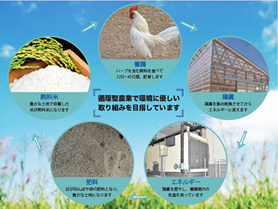 葛尾村産ハーブ鶏ササミ２㎏セット　５００g×４パック　鶏肉　冷凍