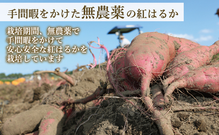 新地町産紅はるか干し芋(皮つき150g)×3袋　計450g　干し芋 ほしいも 干しいも 紅はるか　平干し