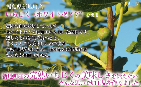 福島県新地町産いちじくセミドライフルーツ　50g×2袋セット　合計100g