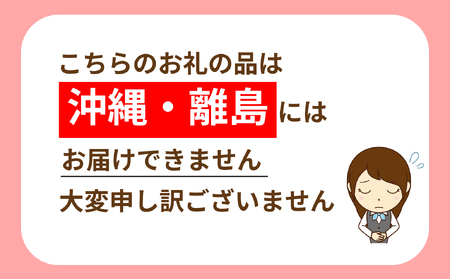 新地町産 長ネギ 約5kg 1箱 | 野菜 やさい 食品 人気 おすすめ 送料無料 ねぎ ネギ 葱 長ねぎ お取り寄せ 福島県 新地町 白ねぎ 鍋