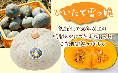 かぼちゃ畑の完熟ジェラート 6個入り  ITTAB001 | ジェラート アイス いいたて雪っ娘かぼちゃ かぼちゃ デザート スイーツ 冷凍 オススメ 福島 飯舘村 |