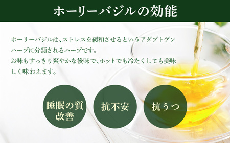 ホーリーバジルティー乾燥茶葉1.0g入り×10包×2 ITTAJ001