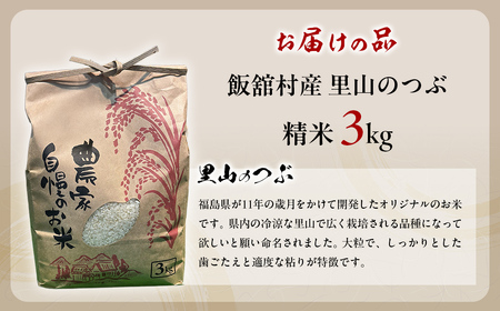 【6か月定期便】【令和7年産】 飯舘村産 里山のつぶ 3kg 