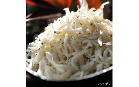 HB-1　しらす干し1kg！　冷凍　工場直送　無添加　専門店　【茨城県共通返礼品/大洗町】