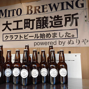 第１回水戸さきがけビジネス大賞 優秀賞受賞！【ぬりや】クラフトビール12本詰め合わせ【お酒 クラフトビール ビール ふるさと納税 水戸市 茨城県】（GW-2）