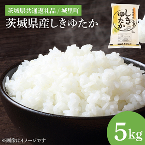 【数量限定】【令和7年度 新米】茨城県産しきゆたか（茨城県共通返礼品/城里町）5kg【お米 米 おにぎり 粒が大きい 茨城県】（IH-1079）