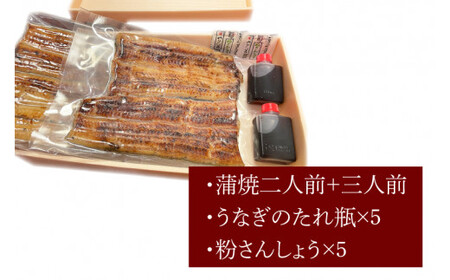 【蒲焼割烹 ぬりや】うなぎ蒲焼（真空パック）５人前 【鰻 ウナギ うなぎ　土用丑の日 土用 丑の日 かば焼き 蒲焼き 国産 うなぎ蒲焼 老舗】（GW-5）