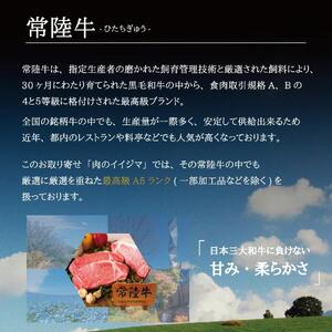【定期便 全6回】 肉 常陸牛 6ヶ月 定期便 Aコース ハンバーグ 焼肉 すき焼き レトルトカレー コンビーフ ギフト セット お中元 食べ物ギフト対応 【肉のイイジマ】 茨城県 水戸市（DU-107）