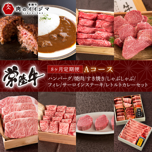 【定期便 全8回】 常陸牛 8ヶ月 定期便 Aコース お中元 肉 ハンバーグ 焼肉 すき焼き しゃぶしゃぶ フィレ サーロイン ステーキ レトルト 常陸牛カレー ビーフカレー ギフト対応 【肉のイイジマ】（DU-114） 11,400円