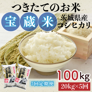 【5ヶ月定期便】【令和7年産】茨城県産コシヒカリ 宝蔵米 20kg×5回【お米 米 菊池 こしひかり つきたてのお米 食味ランキング特A評価 茨城県 水戸市】（CZ-716）