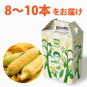 【6月より順次発送】【本田農園】ミトレル朝どれトウモロコシ【とうもろこし コーン 野菜 新鮮 期間限定 朝採れ 糖度 お取り寄せ 旬 旬野菜 水戸市 茨城県】（JN-1）