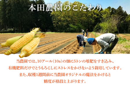 JN-1【先行予約】本田農園　ミトレル朝どれトウモロコシ