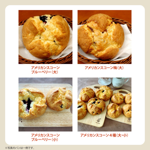 冷凍でお届け！卵不使用の手作りパン15個以上詰め合わせ【ベーカリー パン 手作り 手作りパン おやつ 食事 お食事 セット 詰め合わせ 冷凍 卵不使用 訳あり フードロス 水戸市 水戸 茨城県 10000円以内 1万円以内 】（DD-8）