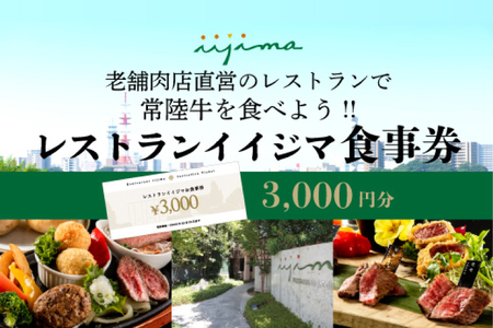 レストラン 食事券 水戸 茨城県 創業45年 レストランイイジマ 常陸牛 ディナー ランチ クーポン 寄付 1万円 3000円分 和牛 優待券 お食事券 体験 お歳暮 洋食 夫婦 返礼品 ギフト 故郷納税 お祝い（DU-121）