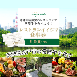 レストラン 食事券 水戸 茨城県 創業45年 レストランイイジマ 常陸牛 ディナー ランチ クーポン 寄付 3万円 9000円分 和牛 お歳暮 優待券 お食事券 体験 洋食 夫婦 返礼品 ギフト 故郷納税 お祝い（DU-123）