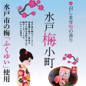 【五條製菓】水戸梅小町８個入り 梅「ふくゆい」【期間限定 ブランド梅 ブランド 梅ペースト 果肉 求肥 お菓子 和菓子 梅干し うめぼし 水戸市 茨城県】（JK-11）