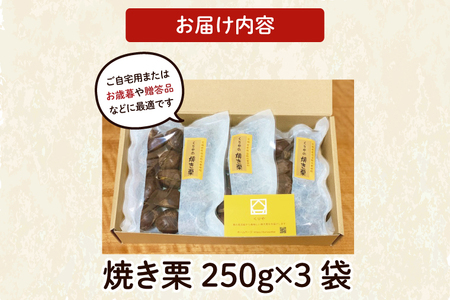 【先行予約】【11月より順次発送】茨城県産　くりやの焼き栗　250g×3袋【くり 栗 焼き栗 秋 茨城県産 果物 果樹 栗ご飯 水戸市】（AO-1）