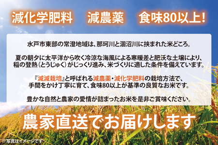 【先行予約 数量限定！】新米 令和6年度産 茨城県産 特別栽培米コシヒカリ 10kg 食味80以上！ 減農薬 減化学肥料 農家直送 第52回茨城県稲作共進会優秀賞受賞！【お米 ごはん こしひかり 20000円以下 10キロ 白米 茨城県 水戸市】（KJ-1）