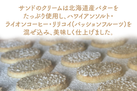 【数量限定】ハワイアンダックワーズ６個入【ダックワーズ ハワイ ハワイアンソルト ライオンコーヒー リリコイ パッションフルーツ スイーツ 水戸市 茨城県 5000円以内 1万円以内】（KT-1）