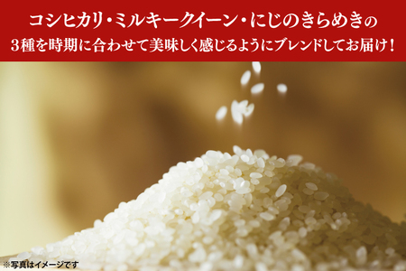 【家計応援】令和6年度産 新米 農家直送 時期に合わせて一番美味しくブレンドしたお米！（コシヒカリをメインにミルキークイーン・にじのきらめきの３種から）【10kg 10キロ 米 ブレンド米 ごはん 水戸市 水戸 茨城県 15000円以内】(KV-1)