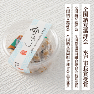 【6ヶ月定期便】【水戸納豆】【全国納豆鑑評会受賞】ご自宅用 雪あかり13個入り（DL-19）
