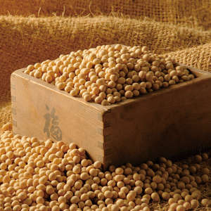 【6ヶ月定期便】【水戸納豆】伝統の味 経木納豆16個入り（DL-20）