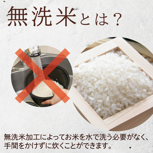 【令和7年産】無洗米茨城コシヒカリ5kg×2（LL-6）