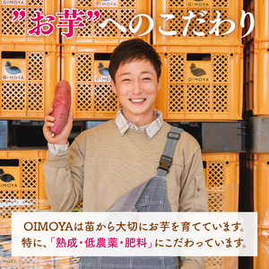 【12月より順次発送】干し芋 平干し 紅はるか 1kg(250g×4)【干し芋 干しいも ほし芋 芋 さつまいも さつま芋 紅はるか スイーツ 和スイーツ 茨城県 水戸市 水戸 】(IN-4)