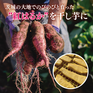 【12月より順次発送】【訳あり】 干し芋 せっこう（切り落とし）紅はるか1kg（1箱）【干し芋 干しいも ほし芋 芋 さつまいも さつま芋 紅はるか 茨城県 水戸市 水戸 10000円以内 1万円以内】（IN-9)