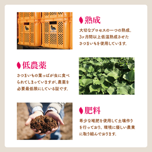 【12月より順次発送】【訳あり】 干し芋 せっこう（切り落とし）紅はるか1kg（1箱）【干し芋 干しいも ほし芋 芋 さつまいも さつま芋 紅はるか 茨城県 水戸市 水戸 10000円以内 1万円以内】（IN-9)