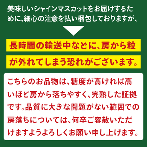 【2026年9月中旬より順次発送】令和7年度 茨城県生産力向上共励会 特別賞受賞！糖度約20～22度！美味しさにこだわったシャインマスカット（約1100g）1～2房 化学肥料不使用 農家直送【葡萄 ぶどう マスカット フルーツ 果物 くだもの 水戸市 水戸 茨城県】（GG-23）
