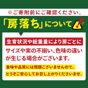 【2026年9月中旬より順次発送】令和7年度 茨城県生産力向上共励会 特別賞受賞！糖度約20～22度！美味しさにこだわったシャインマスカット（約4000g）4～6房  化学肥料不使用 農家直送【葡萄 ぶどう マスカット フルーツ 果物 くだもの 水戸市 水戸 茨城県】（GG-27）